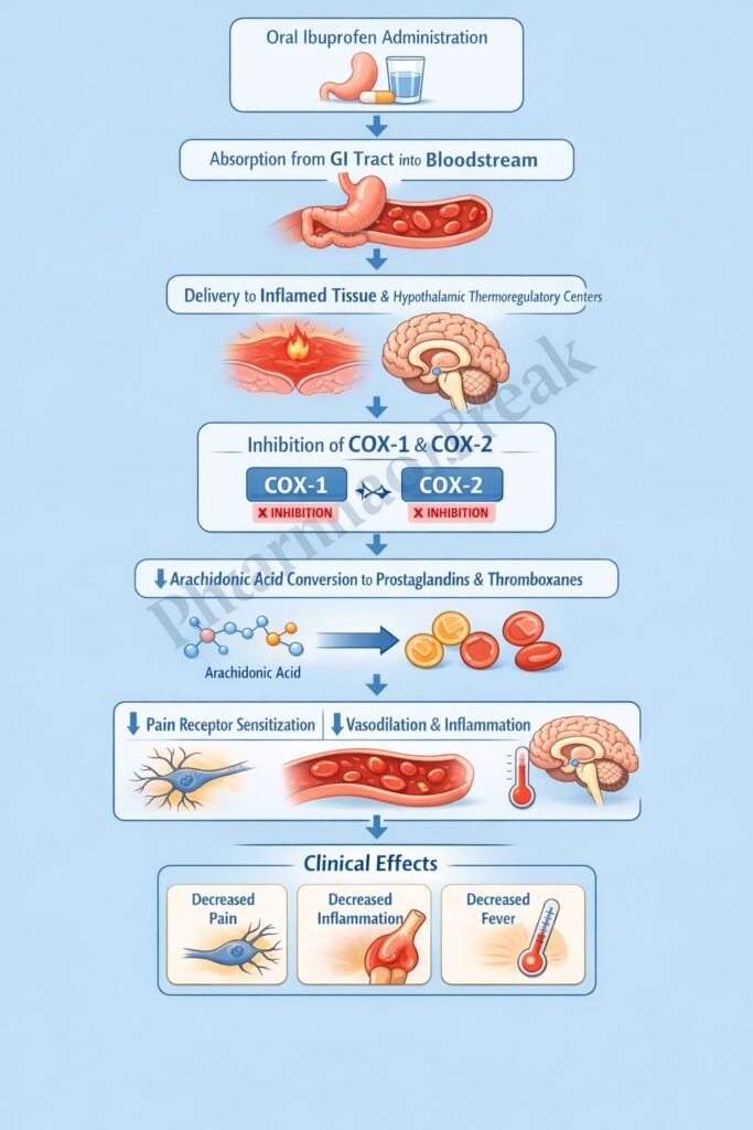 Mechanism of Action of Ibuprofen Flowchart