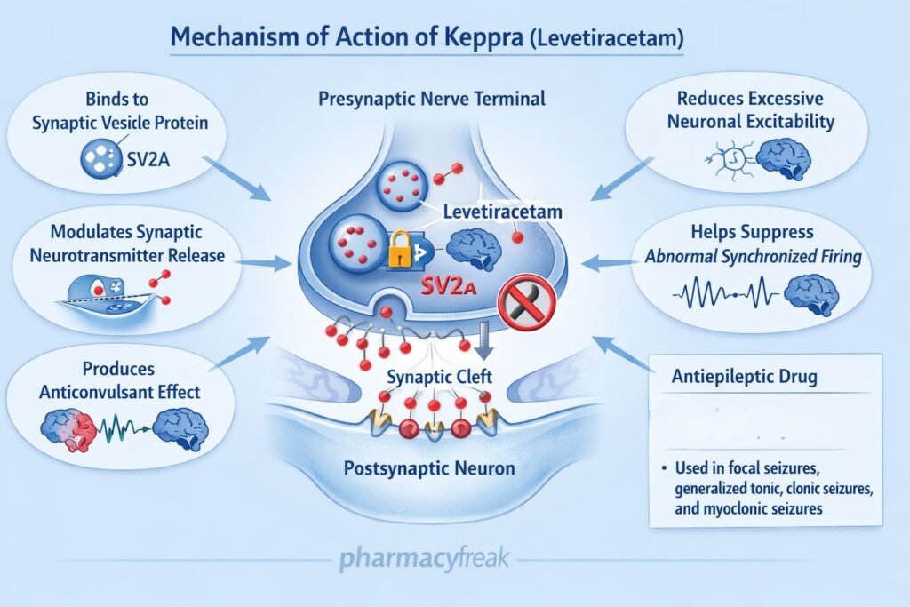 Levetiracetam pharmacology