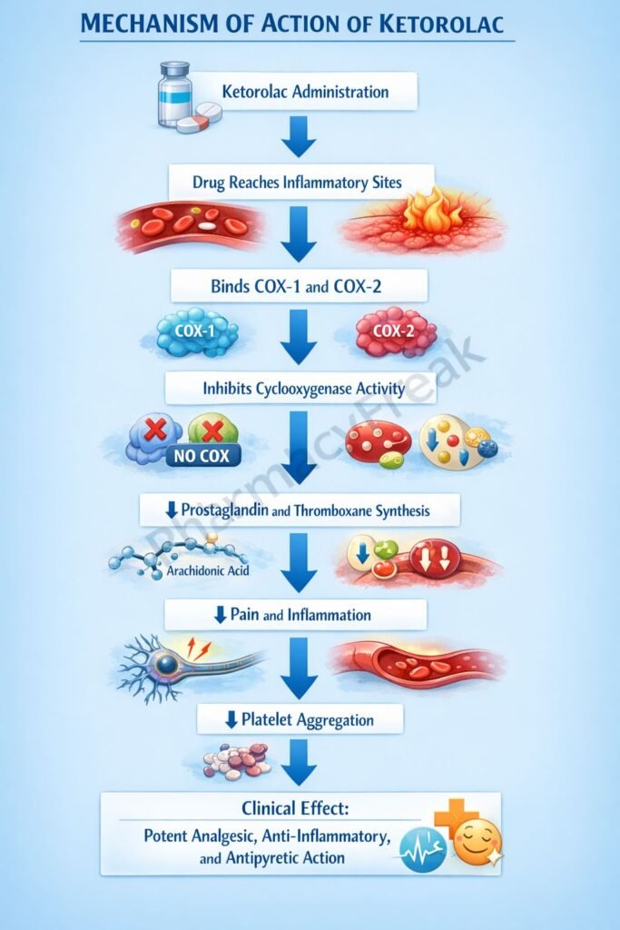 Mechanism of Action of Ketorolac Flowchart