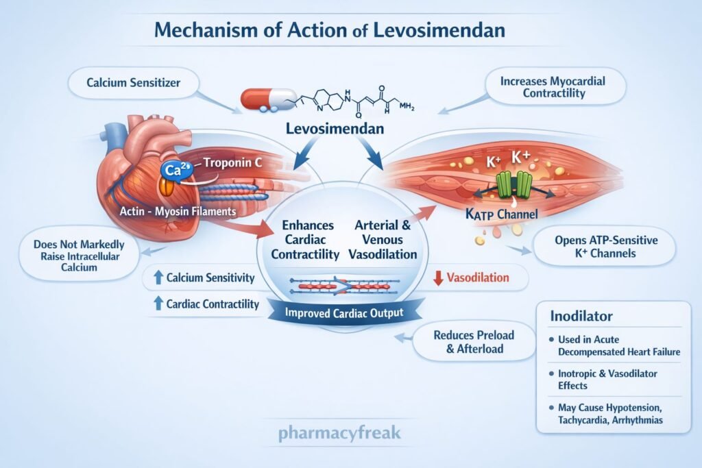 MOA of Levosimendan
