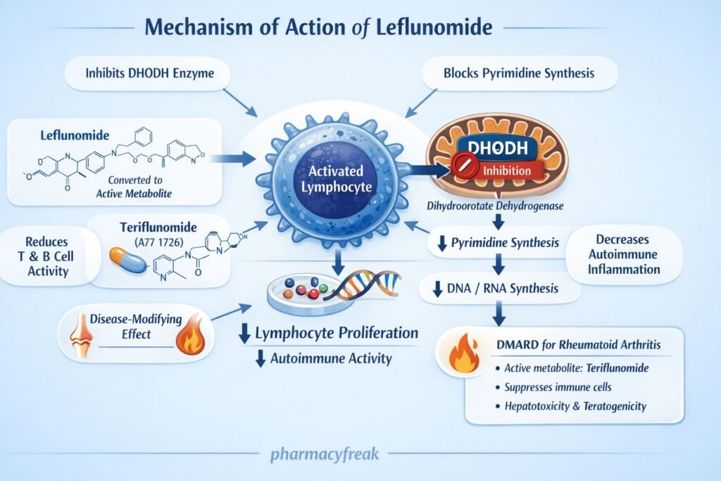 MOA of Leflunomide
