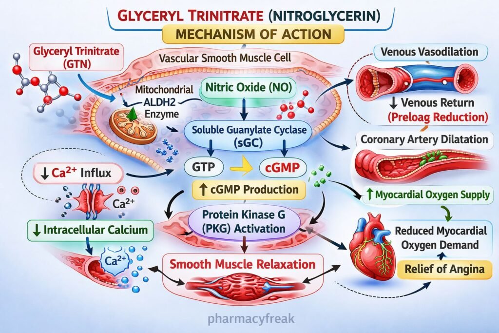 MOA of Glyceryl Trinitrate