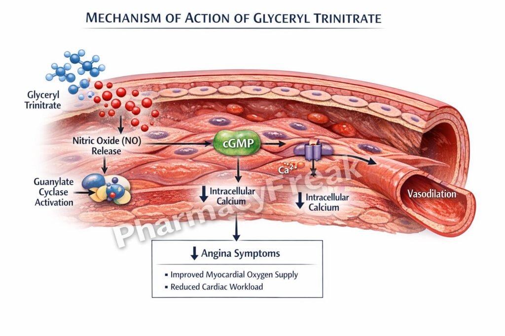 Glyceryl Trinitrate clinical pharmacology