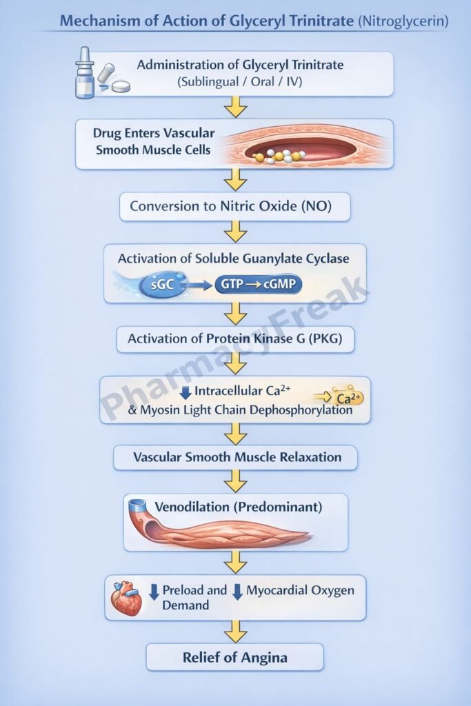 Flowchart of Mechanism of Action of Glyceryl Trinitrate