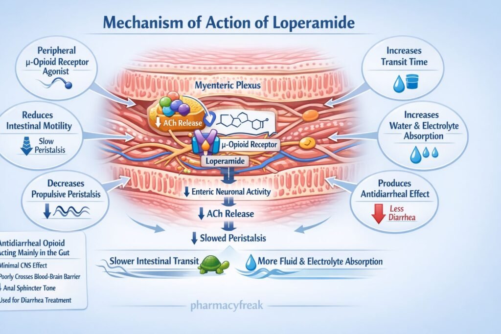 Loperamide pharmacology