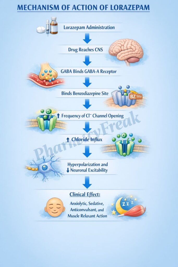 Mechanism of Action of Lorazepam Flowchart