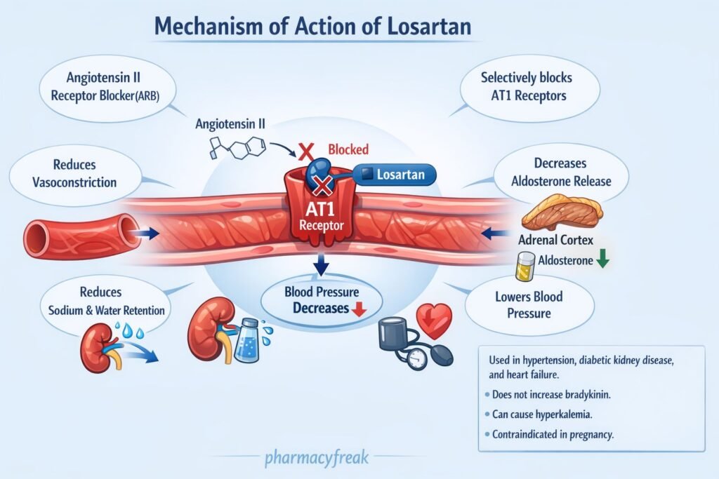 MOA of Losartan