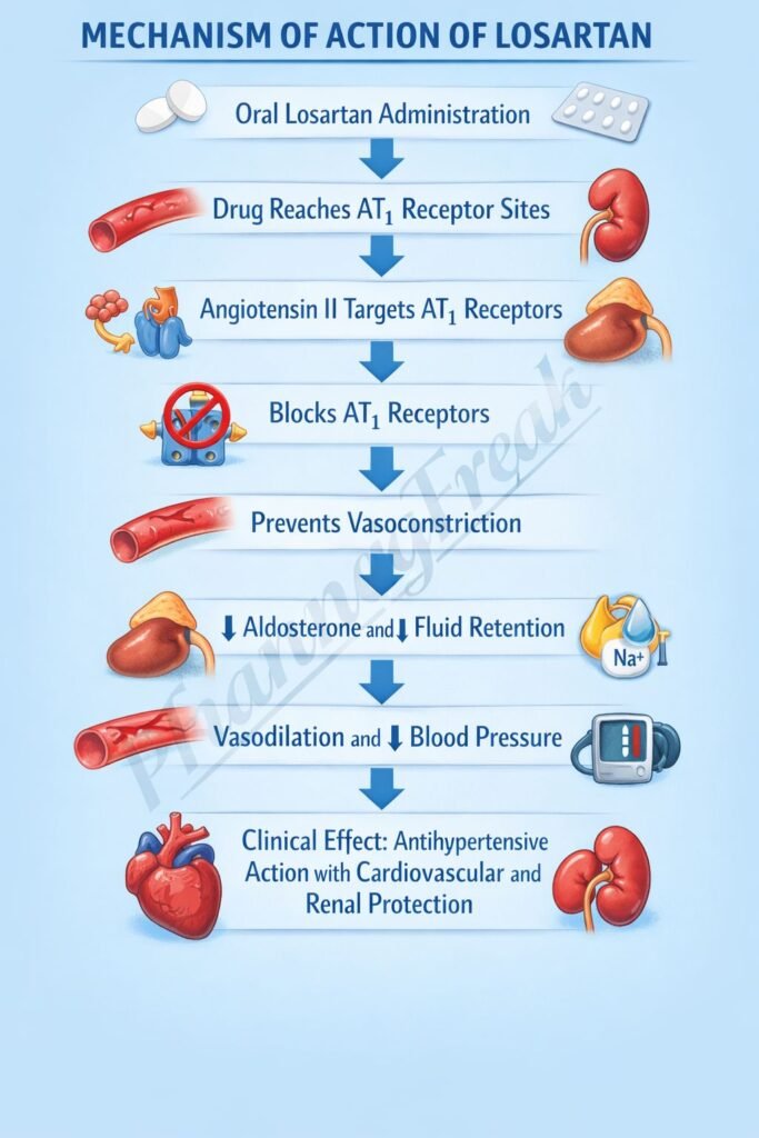 Flowchart of mechanism of action of Losartan