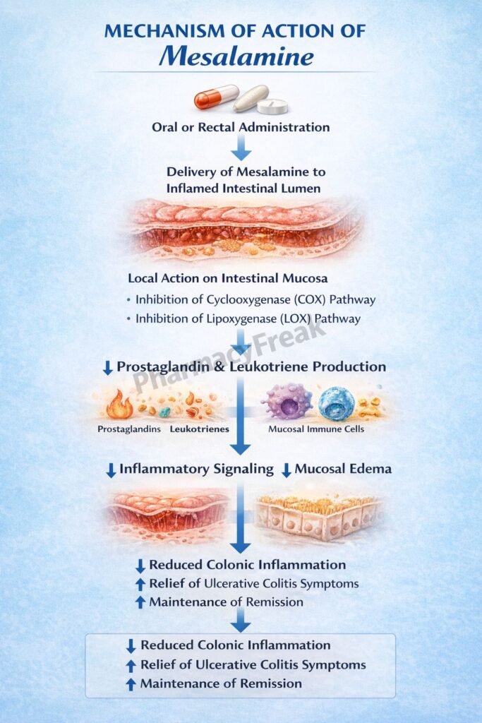 Flowchart of mechanism of action of Mesalamine