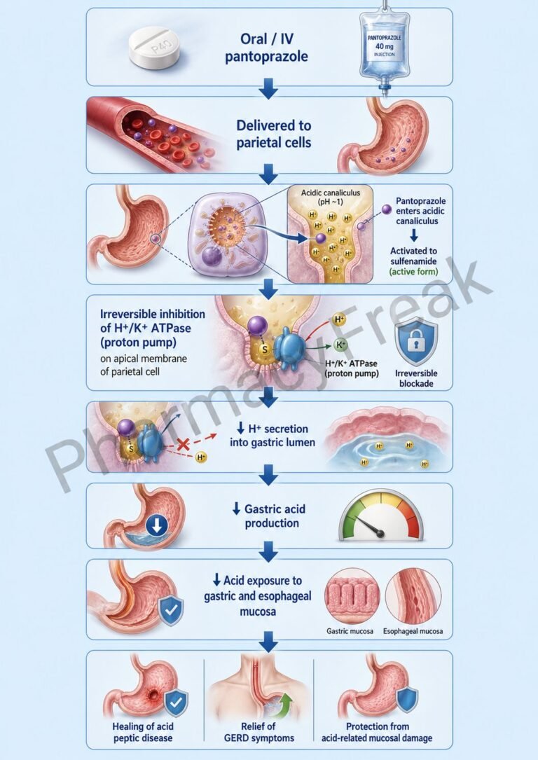 Mechanism of Action of Pantoprazole Flowchart