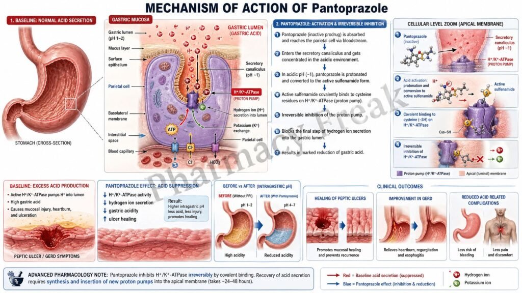 MOA of Pantoprazole