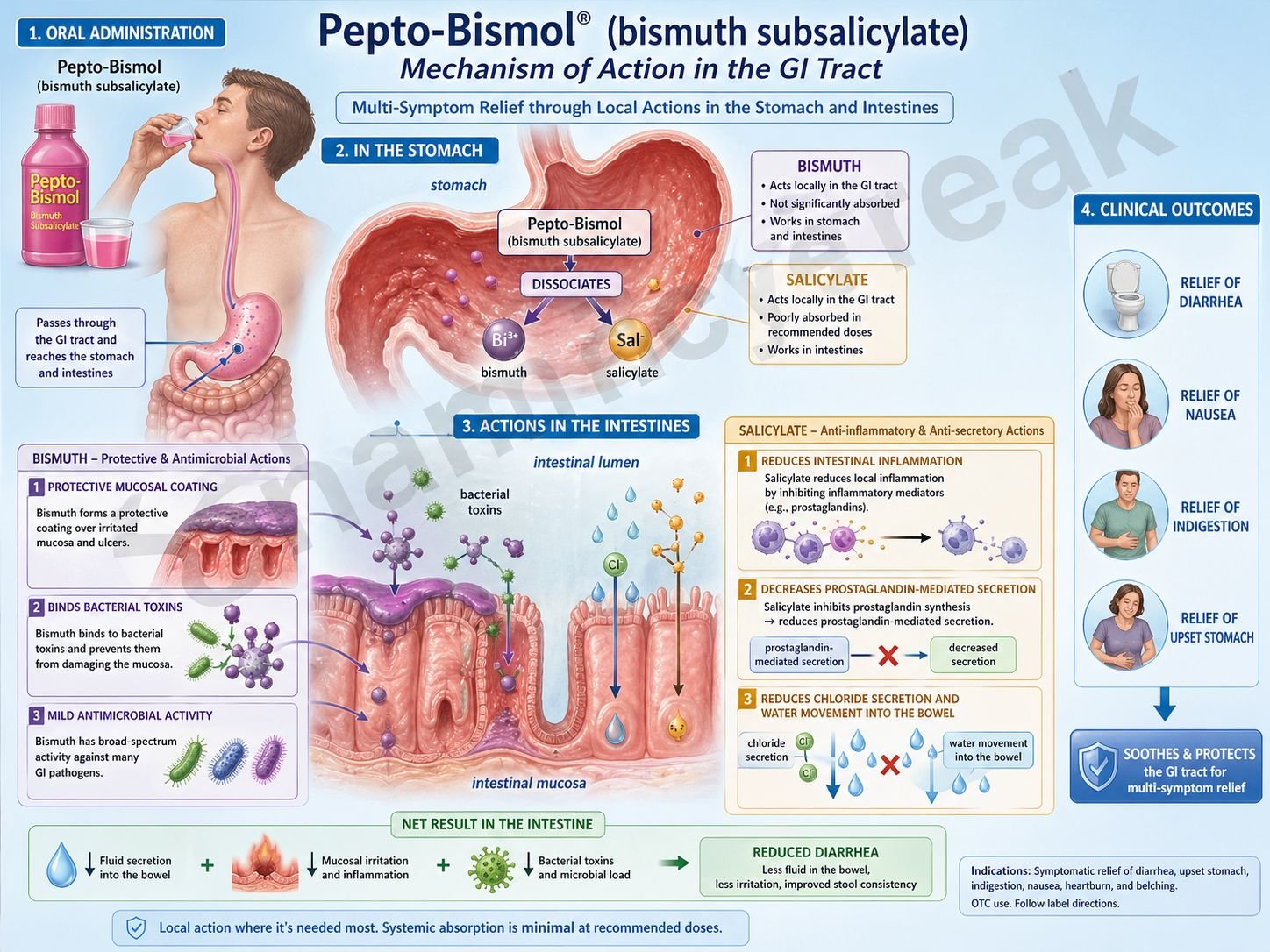 Mechanism of action of Pepto Bismol
