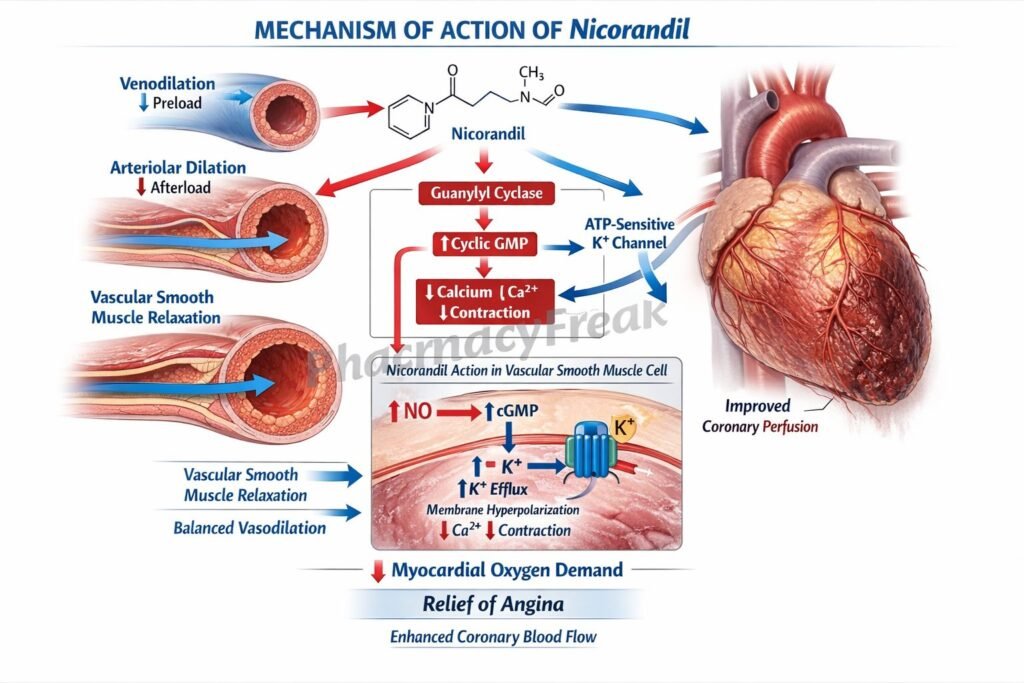 Mechanism of Action of Nicorandil