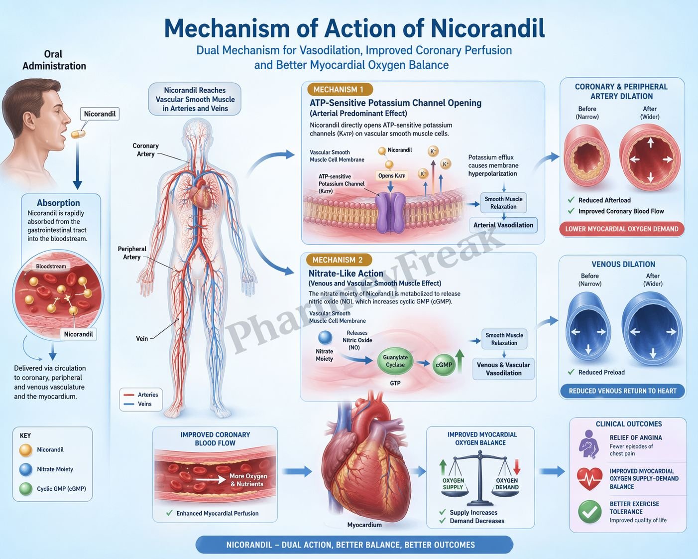 MOA of Nicorandil