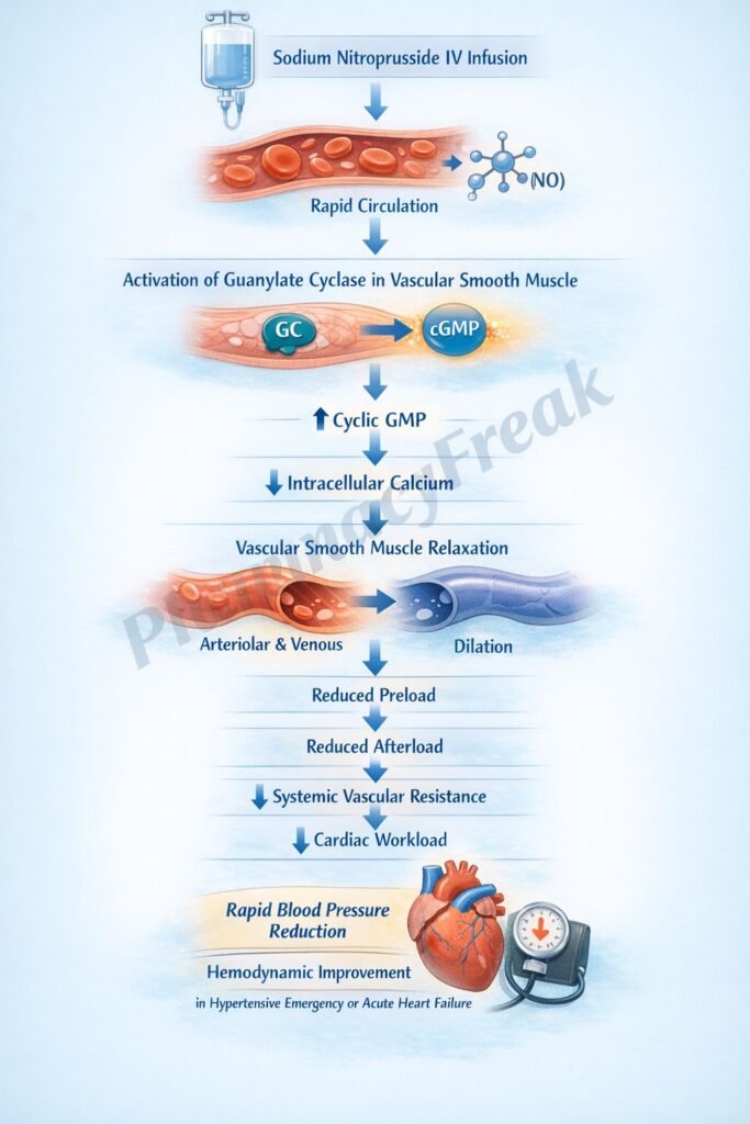 Mechanism of Action of Sodium Nitroprusside Flowchart