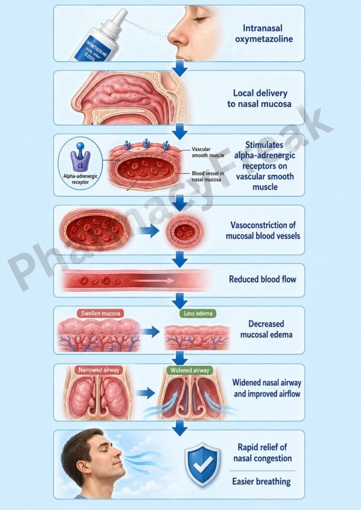 Mechanism of Action of Oxymetazoline Flowchart