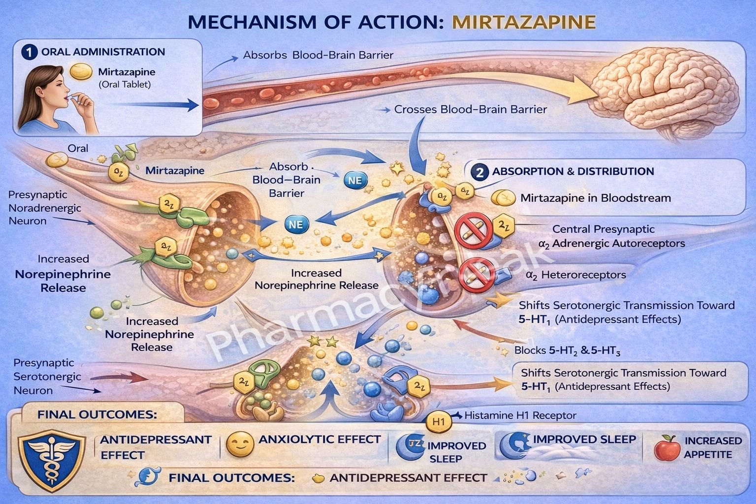 MOA of Mirtazapine