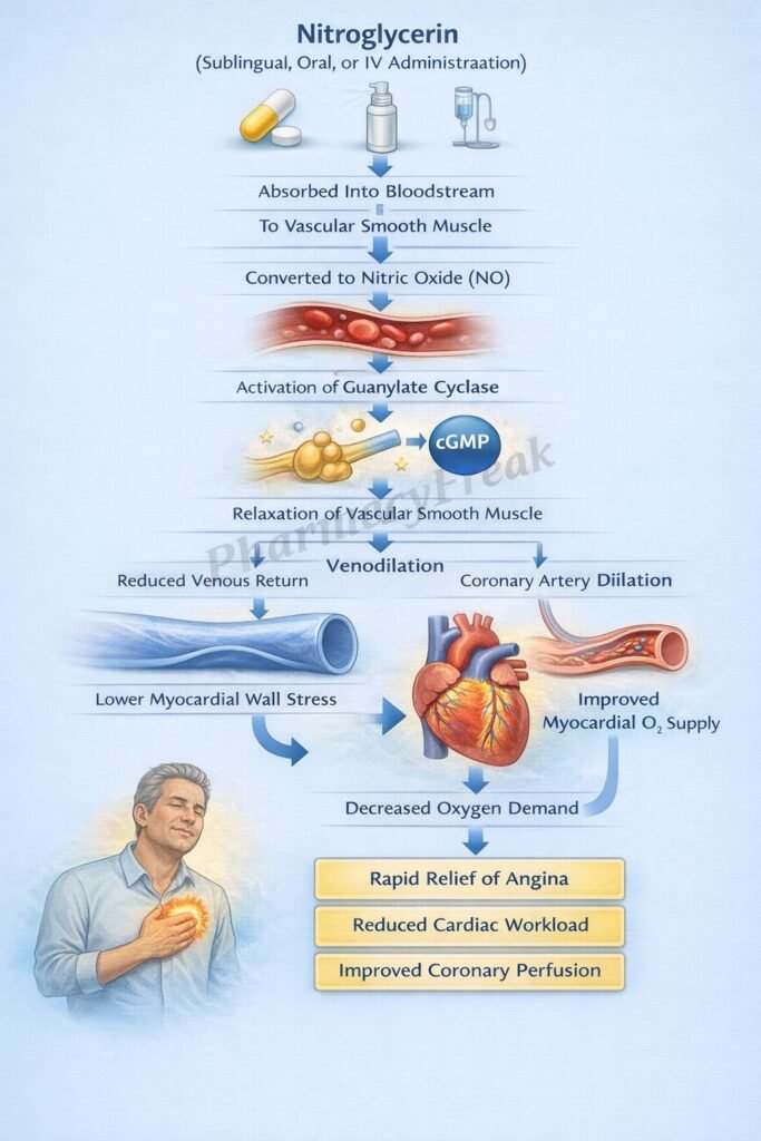 Mechanism of Action of Nitroglycerin Flowchart