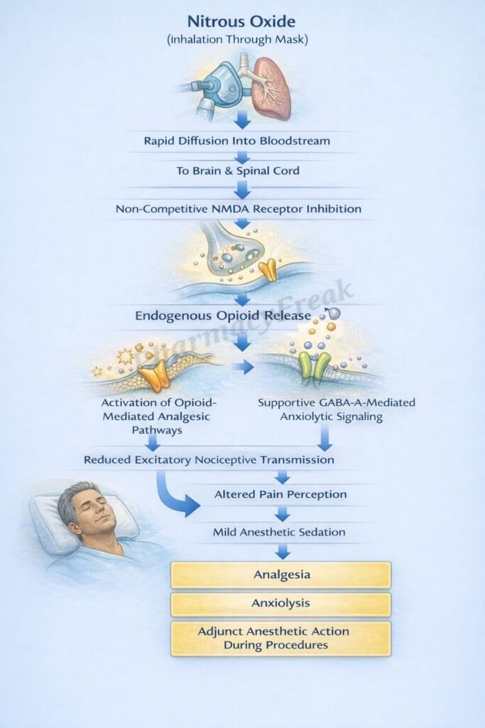 Mechanism of Action of Nitrous Oxide Flowchart