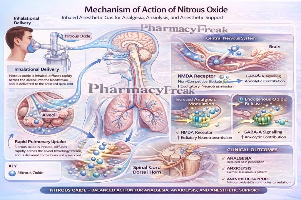 Mechanism of Action of Nitrous Oxide