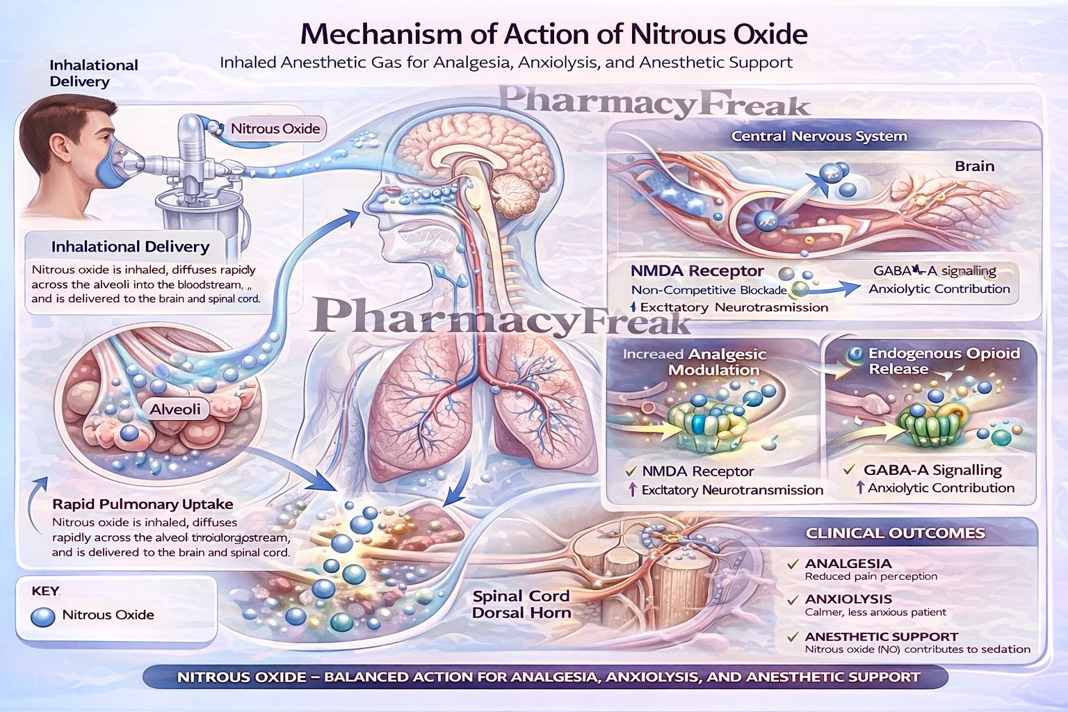 MOA of Nitrous Oxide