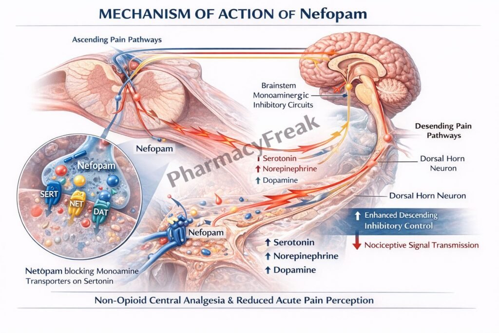 MOA of Nefopam
