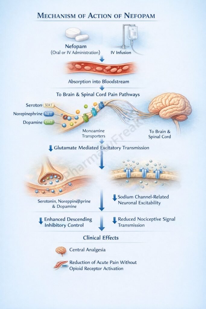 Flowchart of mechanism of action of Nefopam