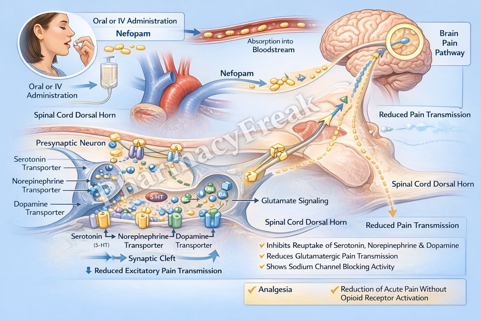 Mechanism of action of Nefopam
