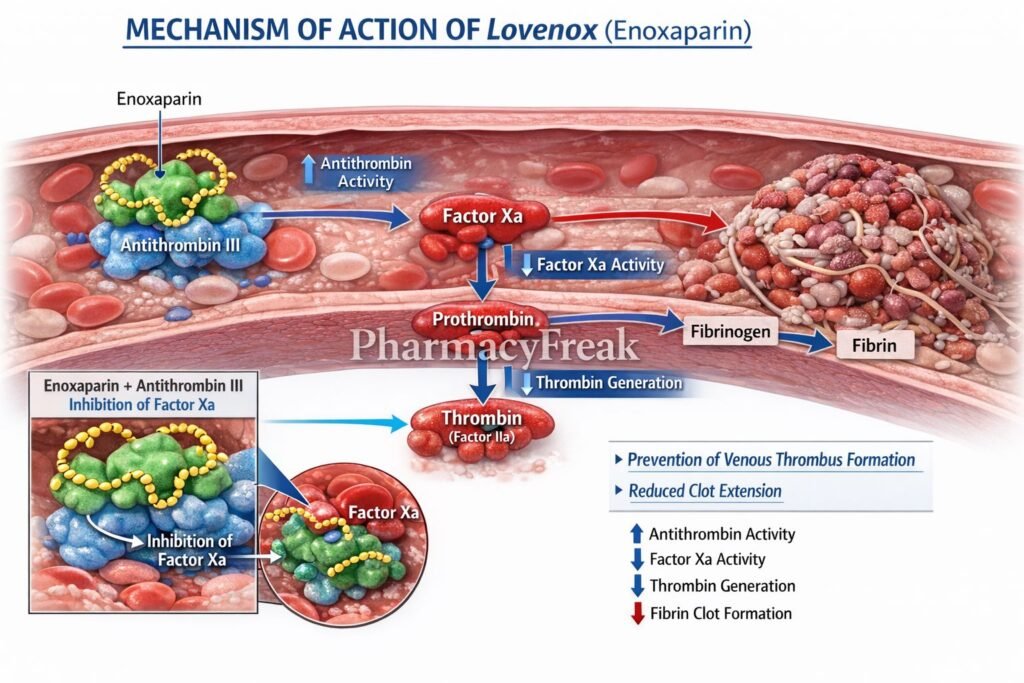 MOA of Enoxaparin