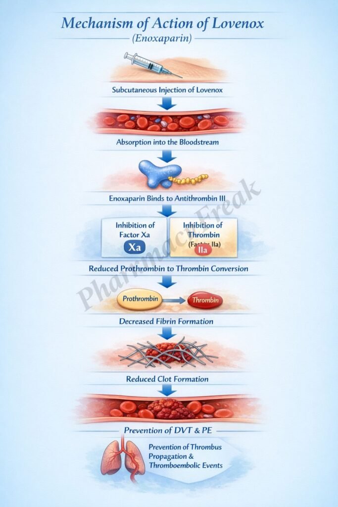 Mechanism of Action of Enoxaparin Flowchart