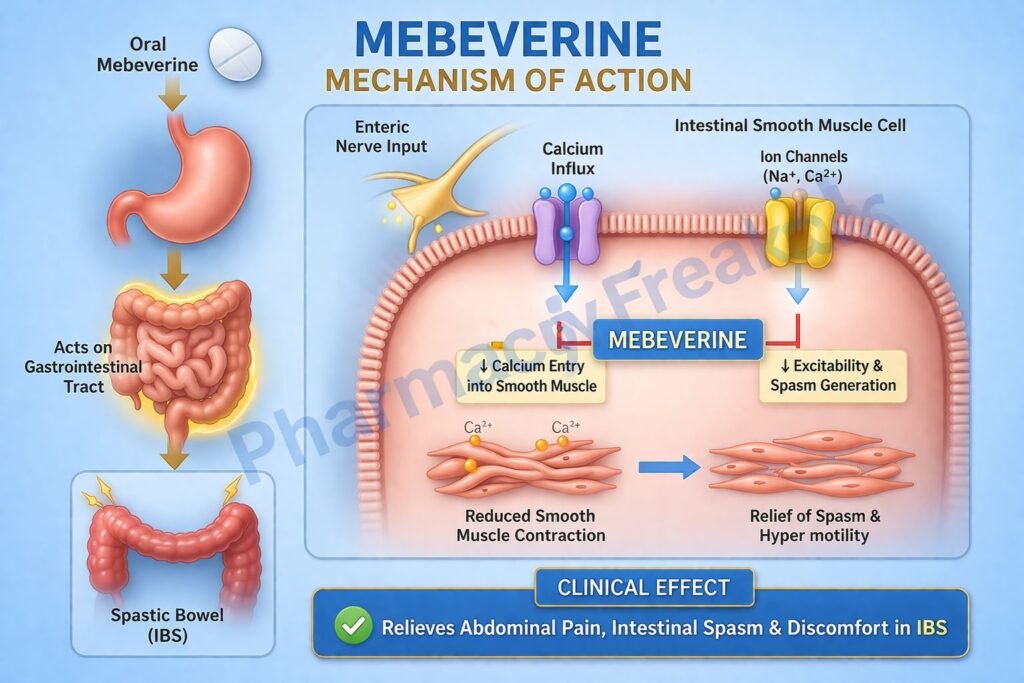 Mechanism of action of Mebeverine