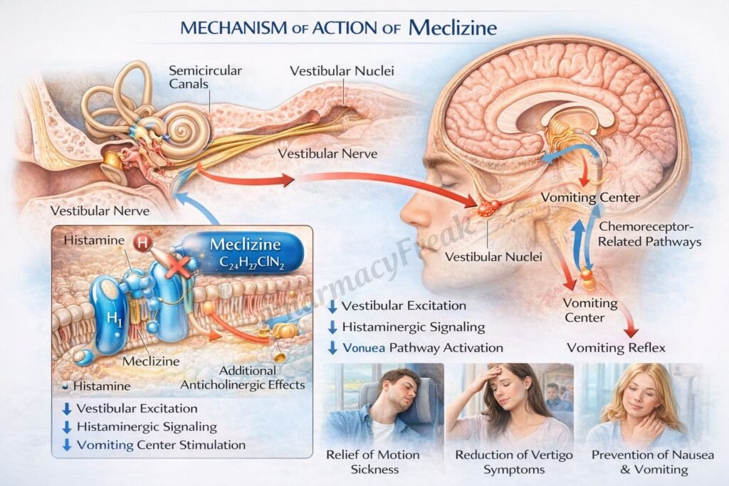 MOA of Meclizine