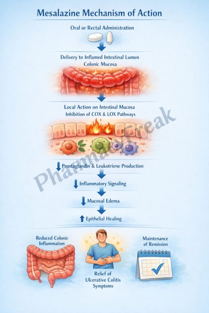 Mechanism of Action of Mesalazine Flowchart