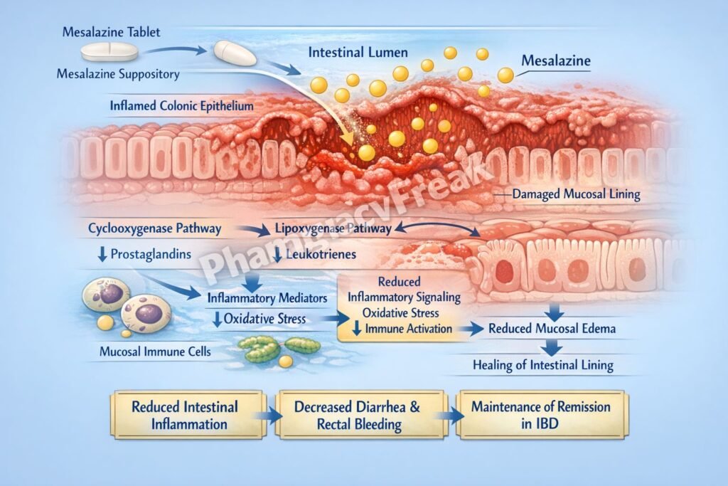 Mechanism of action of Mesalazine