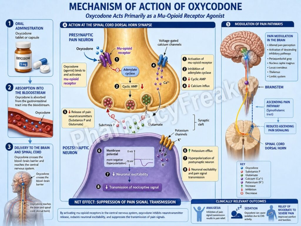 MOA of Oxycodone