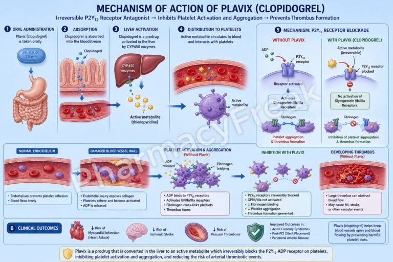 Mechanism of Action of Plavix Flowchart