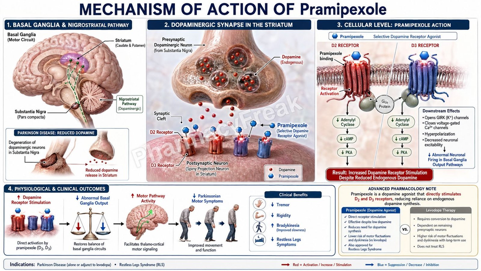 MOA of Pramipexole