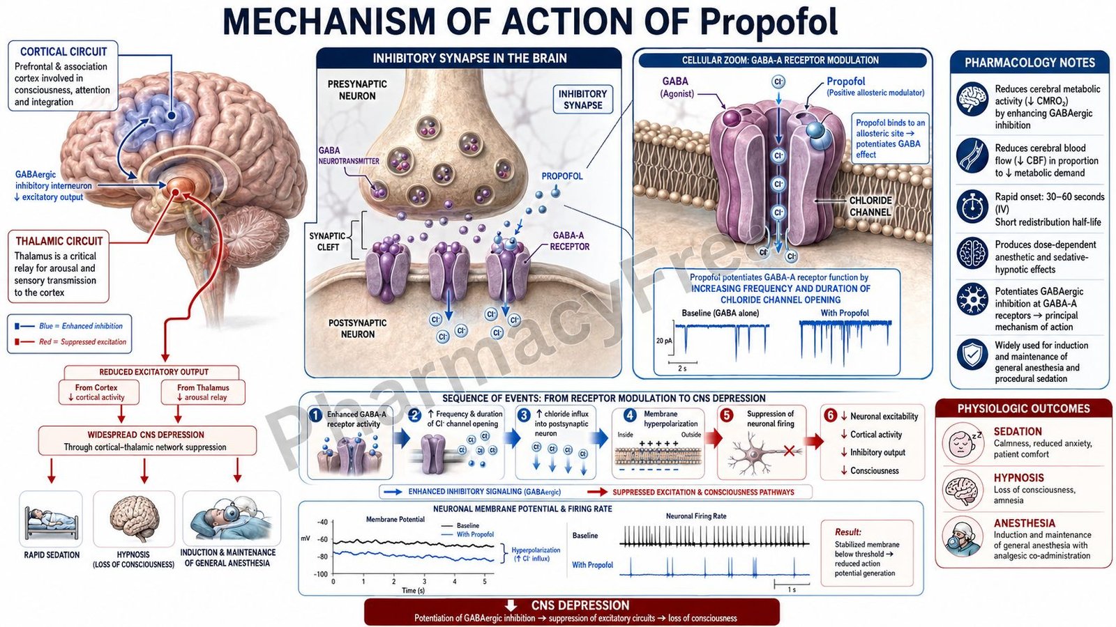MOA of Propofol