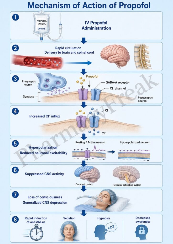 Mechanism of Action of Propofol Flowchart