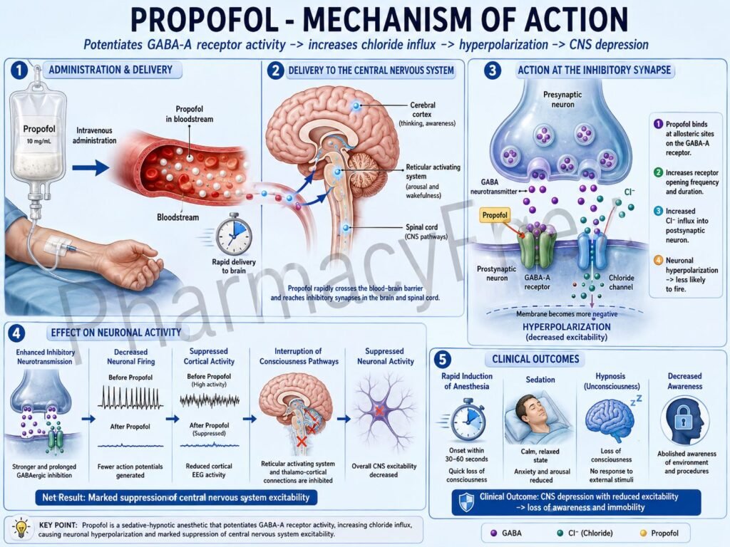 Mechanism of action of Propofol
