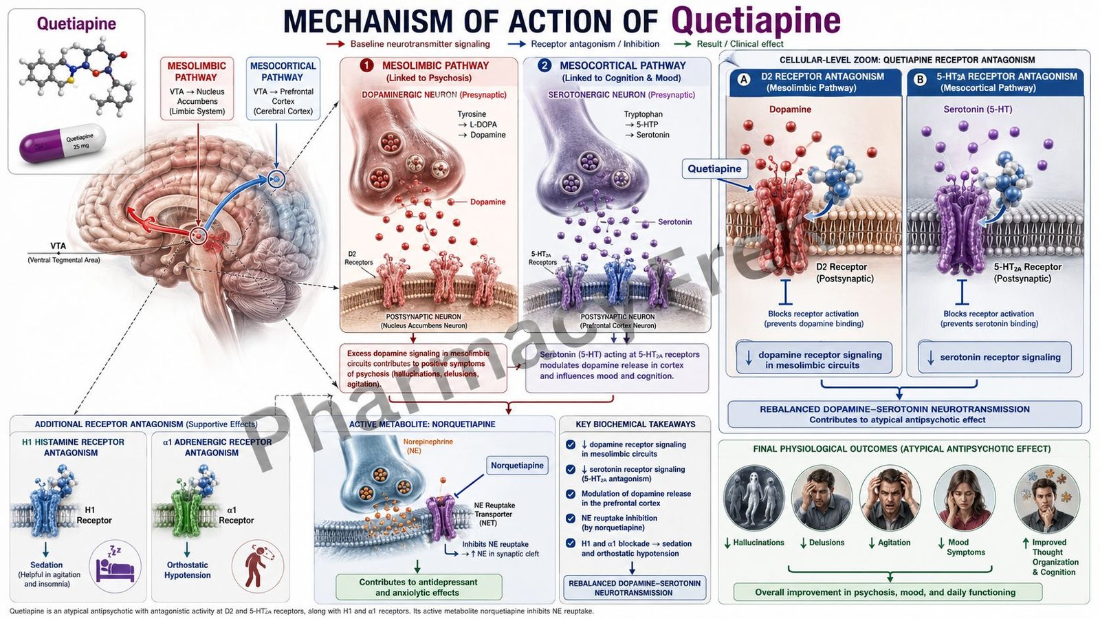 MOA of Quetiapine