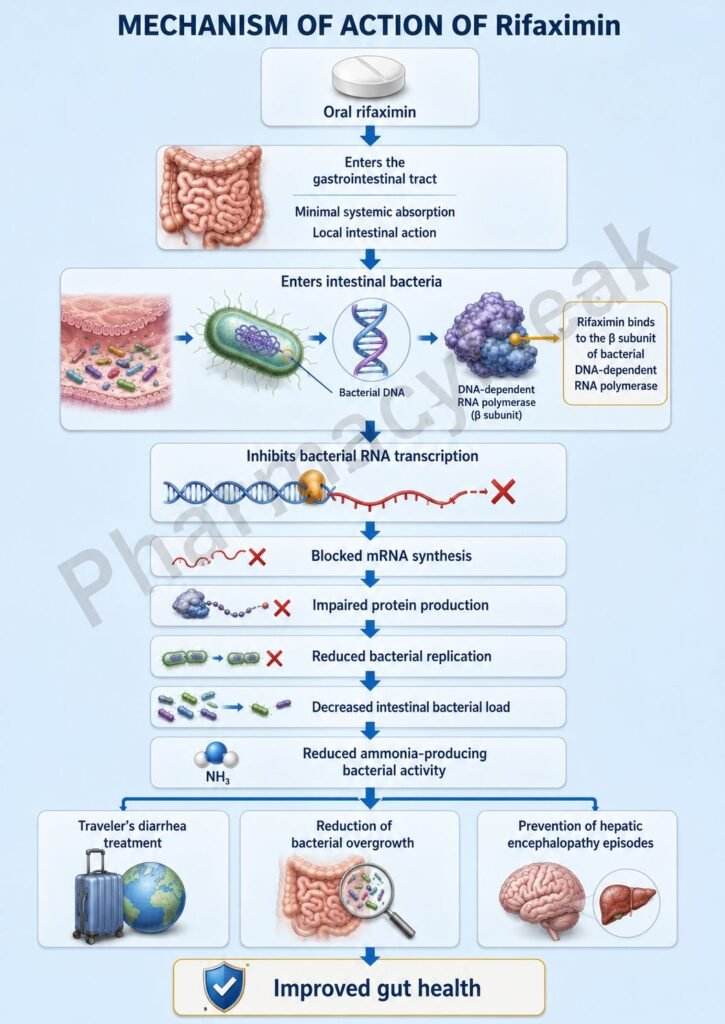 Mechanism of Action of Rifaximin Flowchart