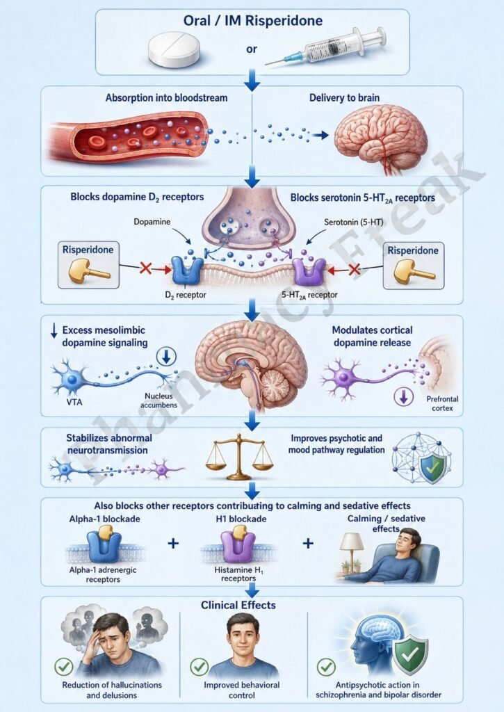 Mechanism of Action of Risperidone Flowchart