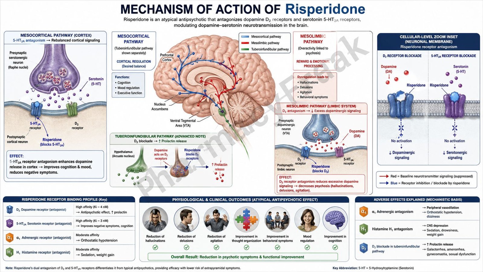 Mechanism of Action of Risperidone