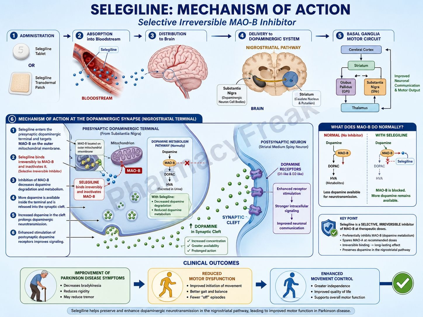 MOA of Selegiline