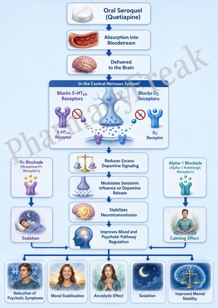 Mechanism of Action of Seroquel Flowchart