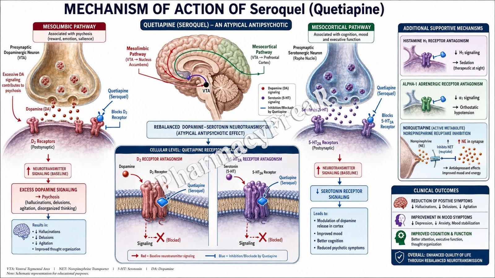 Mechanism of Action of Seroquel