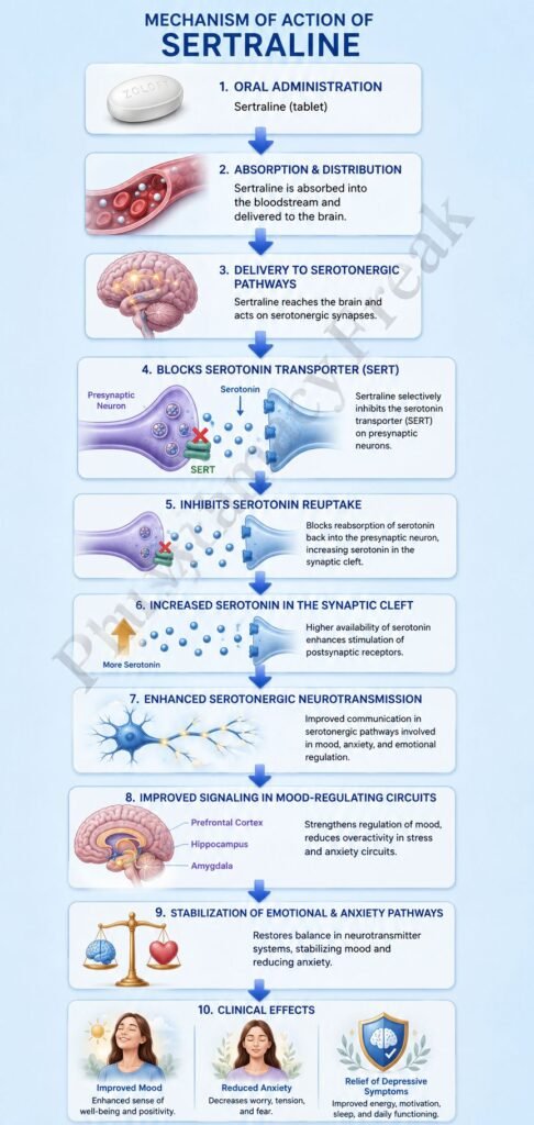 Mechanism of Action of Sertraline Flowchart