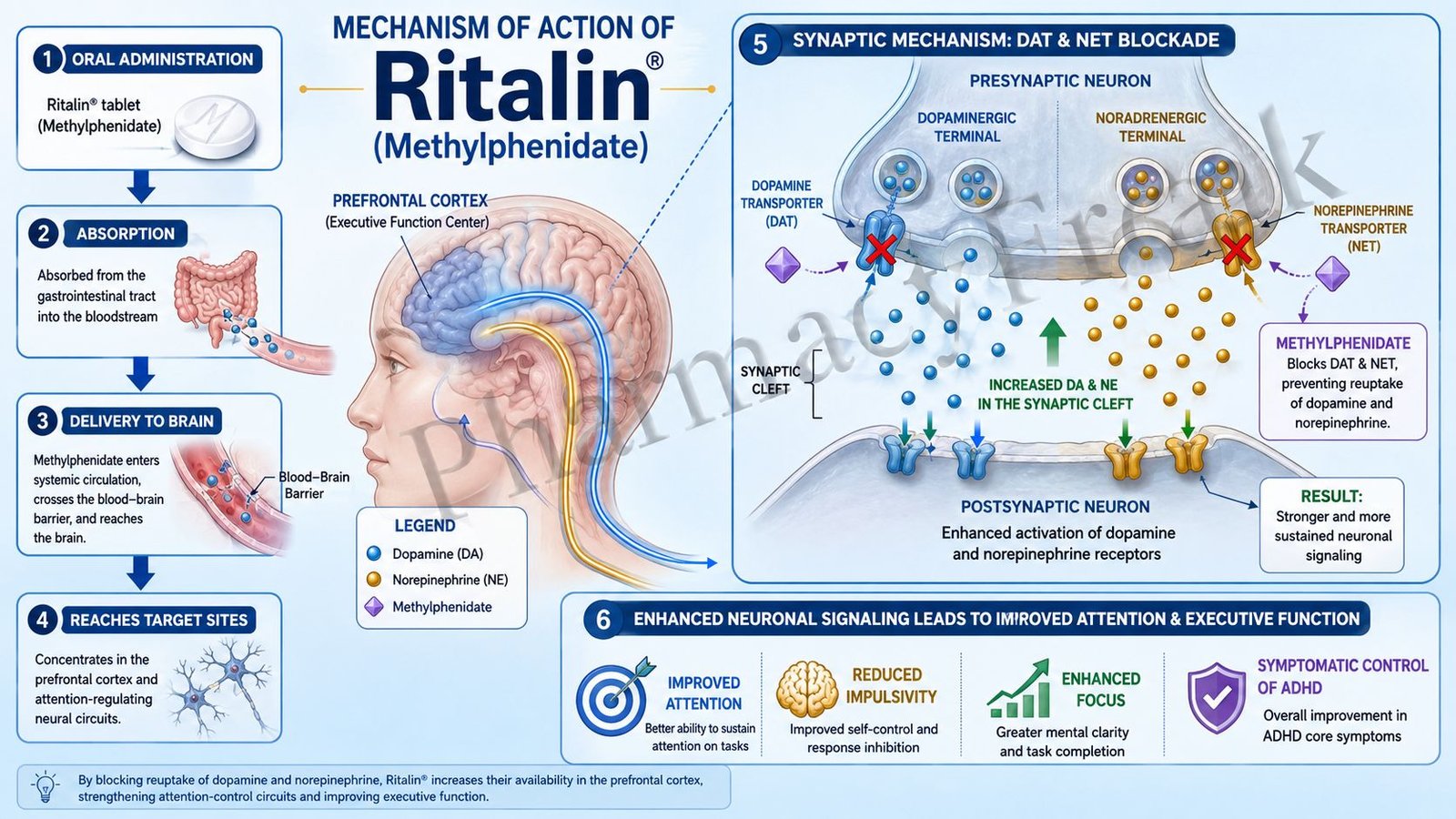 Mechanism of action of Ritalin