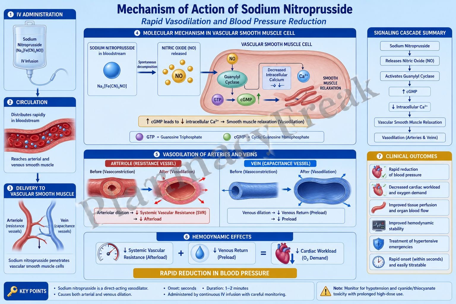 Mechanism of action of Sodium Nitroprusside